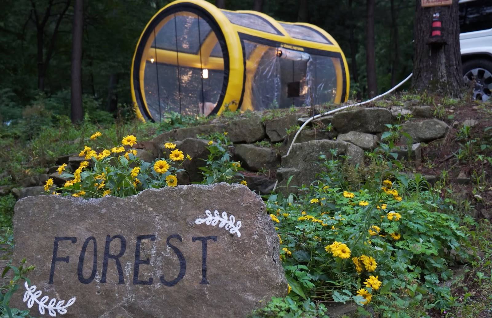 Inside A 100-Sq-Ft Tent: A Girl's Cozy Moments During A Rainy Camp Under Thunderstorms_16
