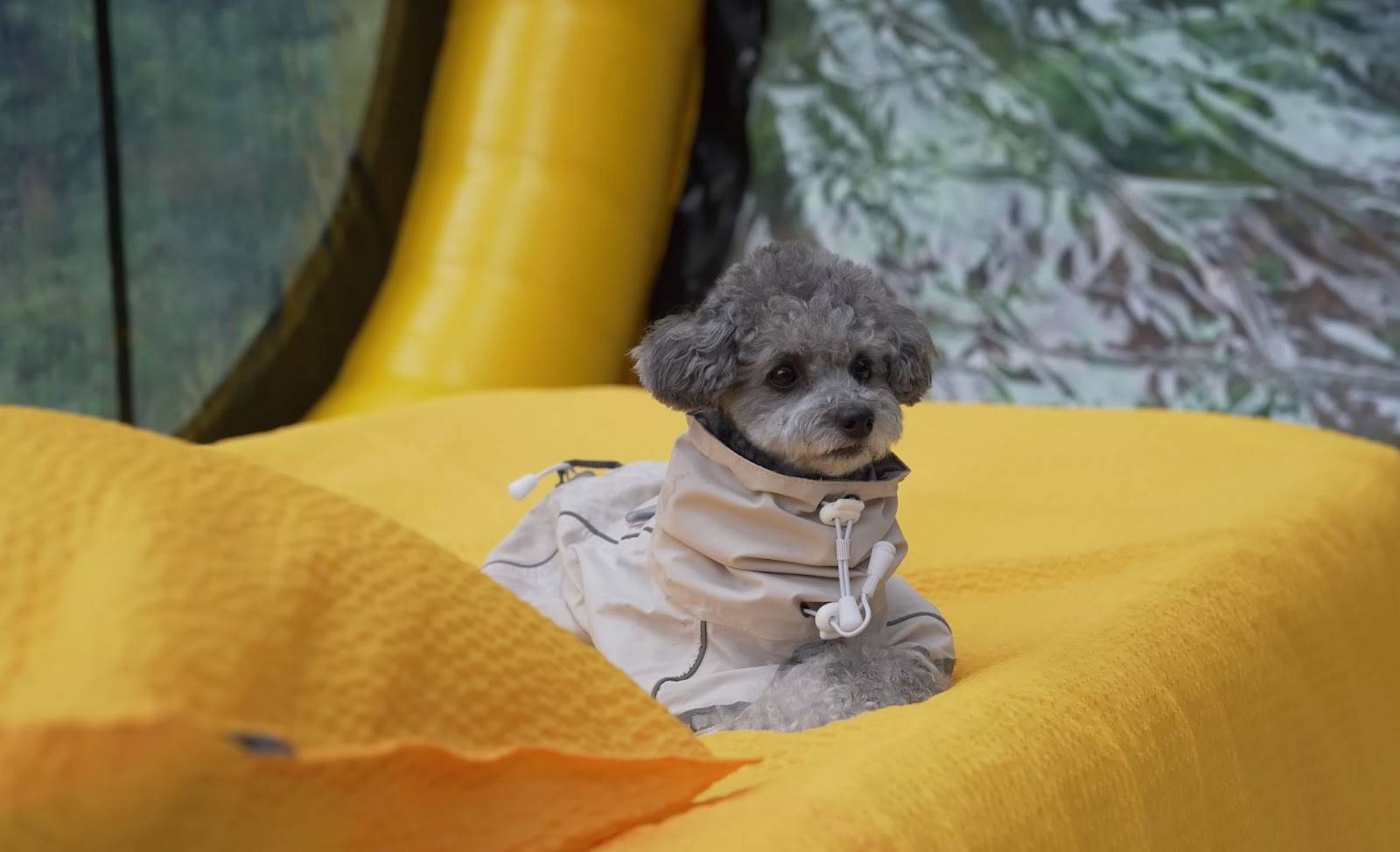 Inside A 100-Sq-Ft Tent: A Girl's Cozy Moments During A Rainy Camp Under Thunderstorms_5