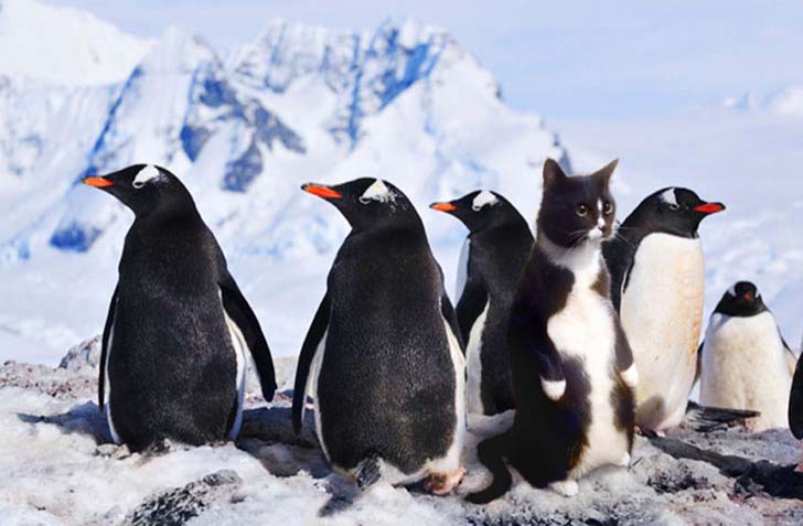 whats-hiding-in-these-15-pics-will-make-you-speechless_11