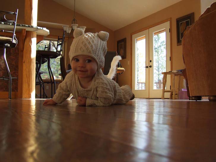 whats-hiding-in-these-15-pics-will-make-you-speechless_2