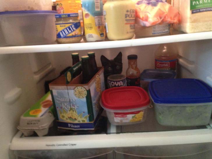 whats-hiding-in-these-15-pics-will-make-you-speechless_9
