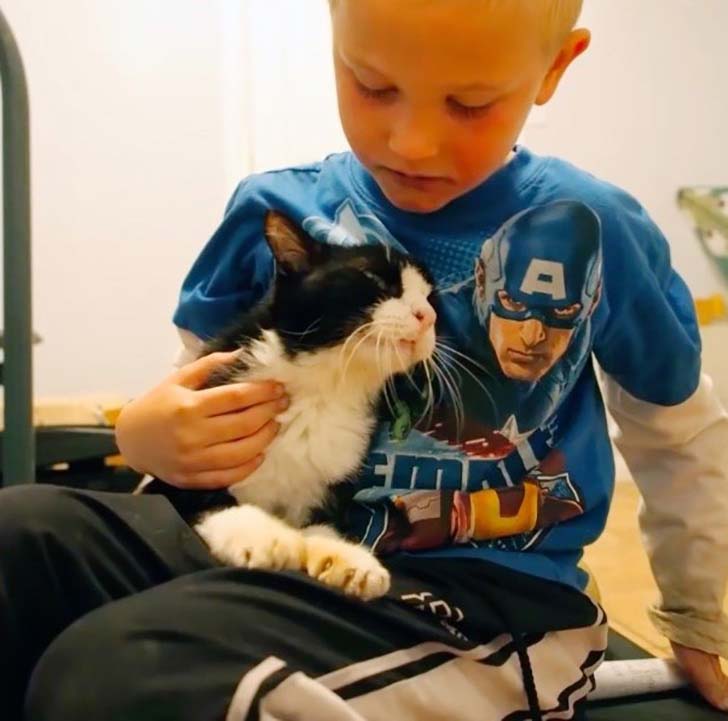 when-this-family-adopted-this-20-year-old-senior-cat-they-never-expect-how-much-love-he-had_2