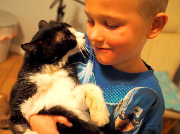 when-this-family-adopted-this-20-year-old-senior-cat-they-never-expect-how-much-love-he-had_4