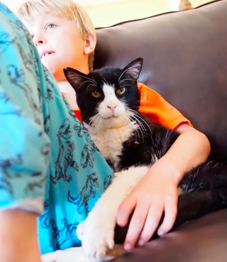 when-this-family-adopted-this-20-year-old-senior-cat-they-never-expect-how-much-love-he-had_7