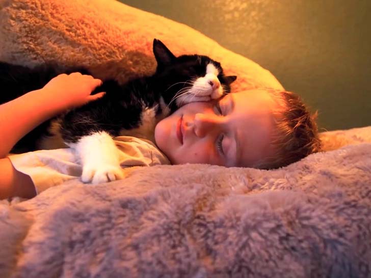 when-this-family-adopted-this-20-year-old-senior-cat-they-never-expect-how-much-love-he-had_8