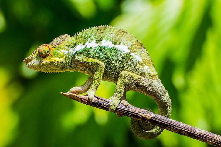 22 Bits Of Trivia That Are Hard To Believe But True_14