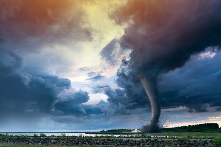 22 Bits Of Trivia That Are Hard To Believe But True_19