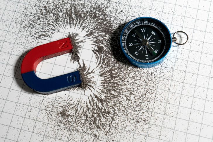 22 Bits Of Trivia That Are Hard To Believe But True_9