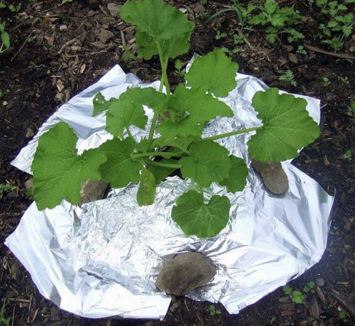 23 Incredible Uses Of Aluminum Foil_11