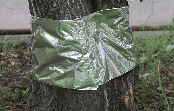 23 Incredible Uses Of Aluminum Foil_14