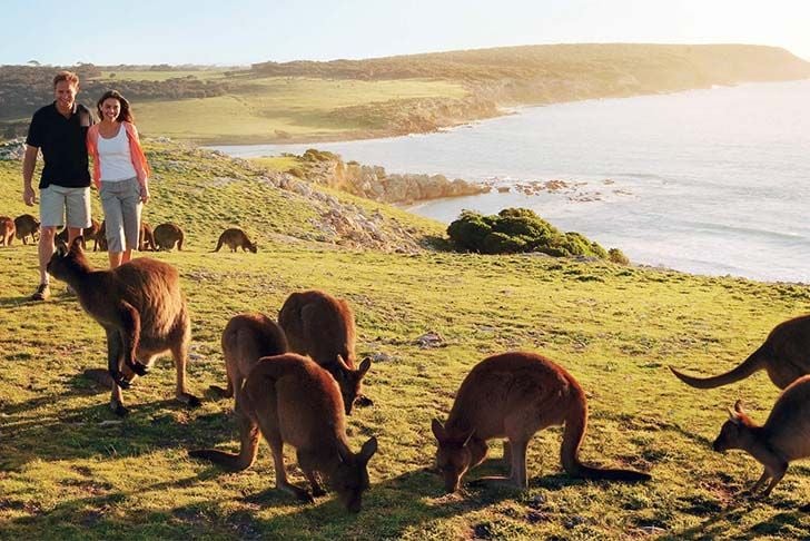 6-most-beautiful-cities-in-australia_5