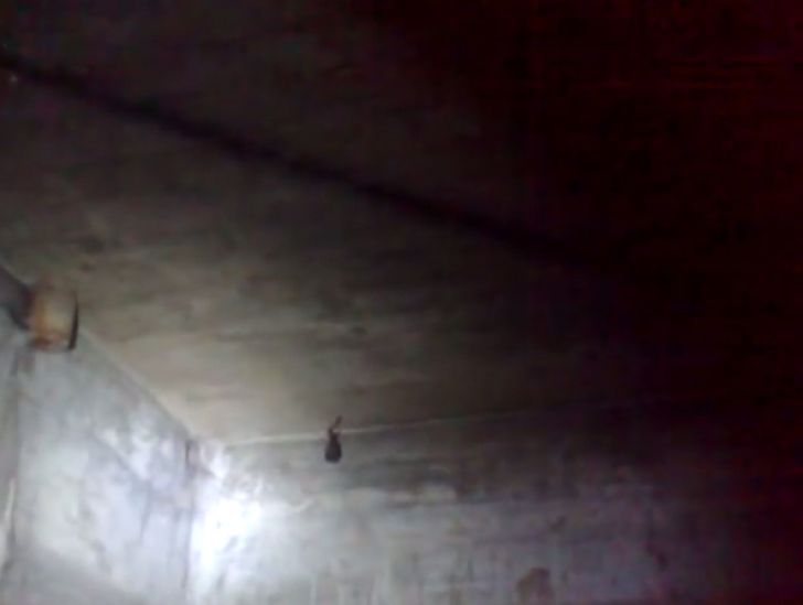 After Noticing Two Mysterious Holes On His Wall, Man Makes Unusual Discovery_14