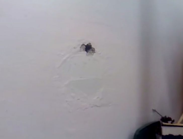 After Noticing Two Mysterious Holes On His Wall, Man Makes Unusual Discovery_20