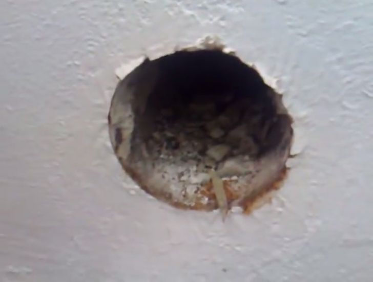 After Noticing Two Mysterious Holes On His Wall, Man Makes Unusual Discovery_3