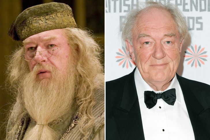 Harry Potter Cast: Where Are They Now?_4