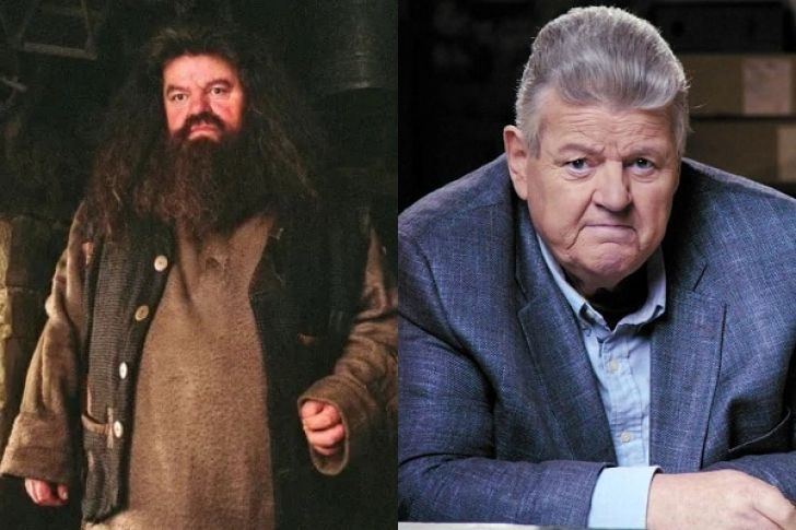 Harry Potter Cast: Where Are They Now?_8