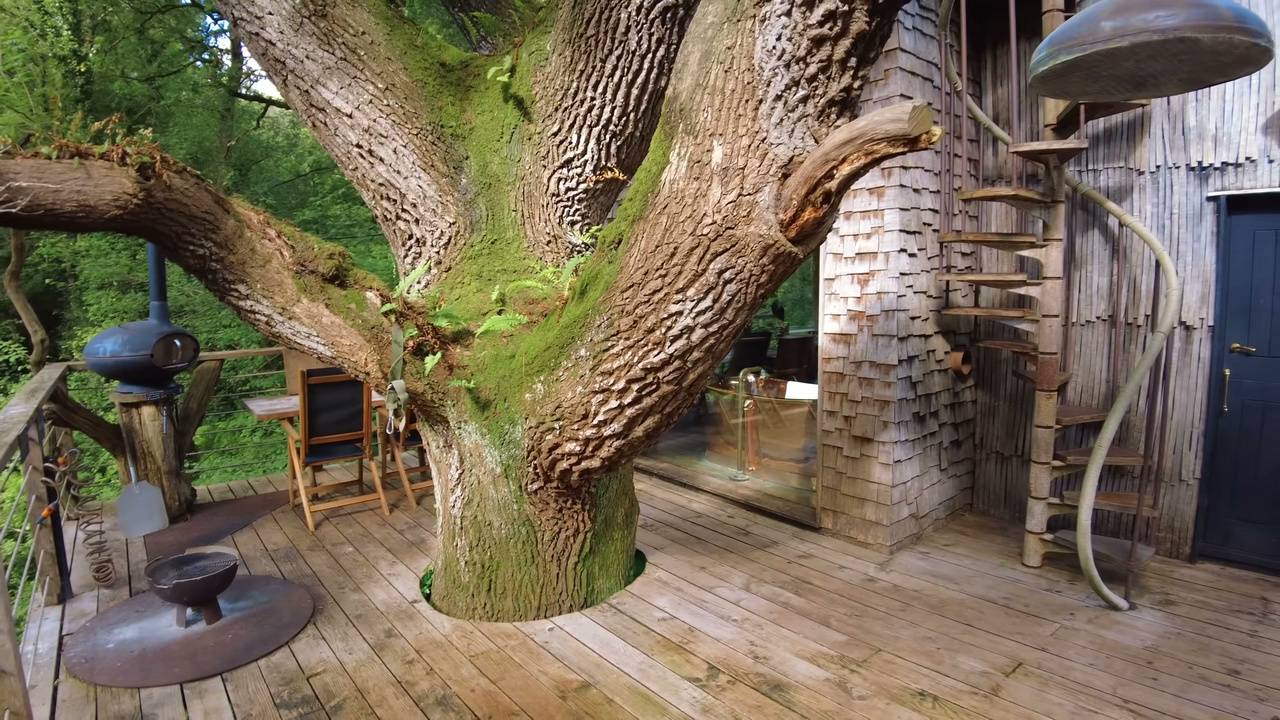 he-stayed-in-a-670-a-night-treehouse-but-wasn-t-expecting-this-inside-1