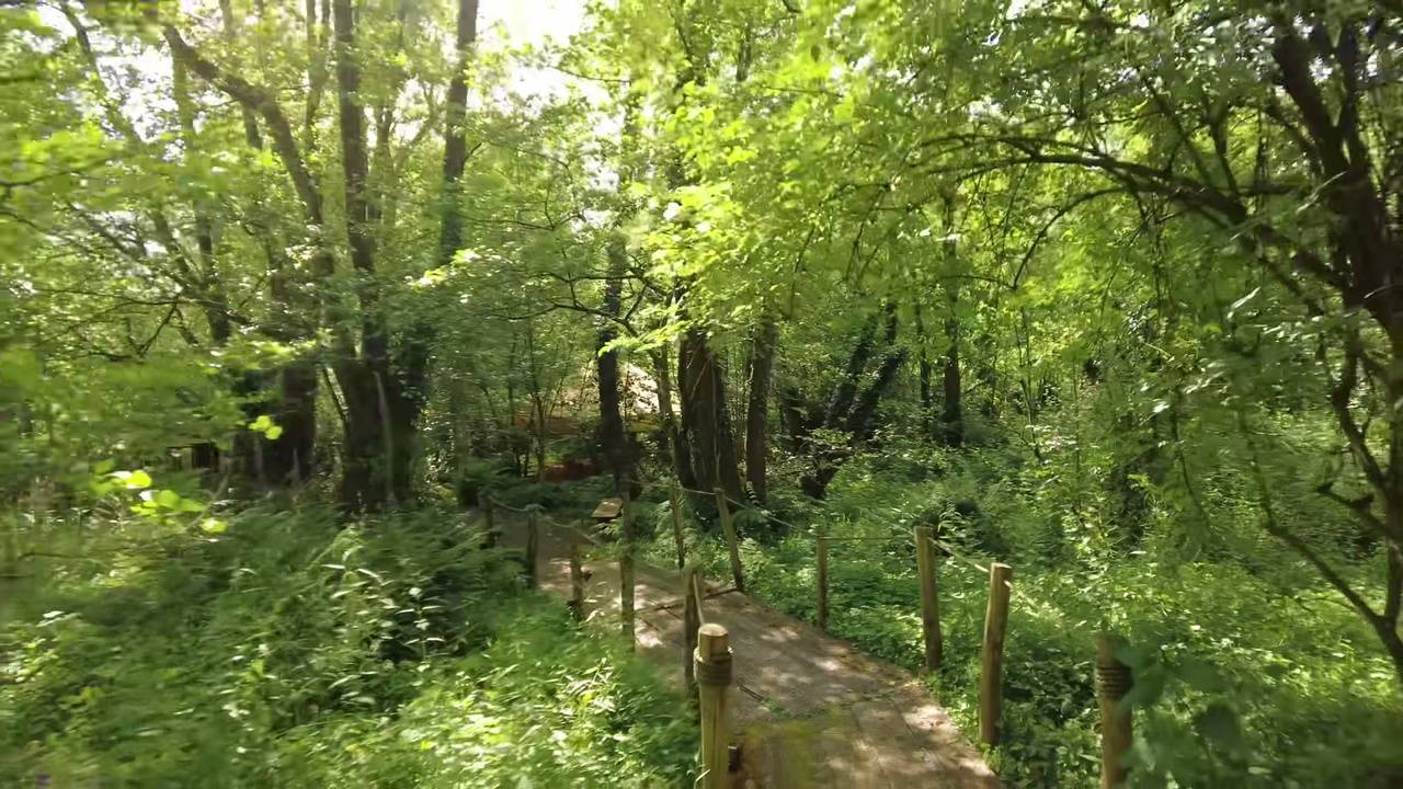 he-stayed-in-a-670-a-night-treehouse-but-wasn-t-expecting-this-inside-2