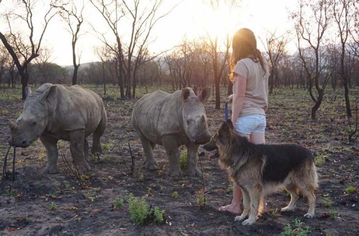 orphaned-baby-elephants-unlikely-yet-heartwarming-friendship_17