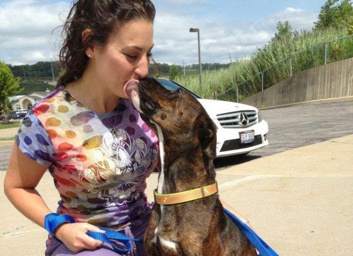Pregnant Pit Bull Refused To Give Birth, Vet Sees This In Her Ultrasound_23