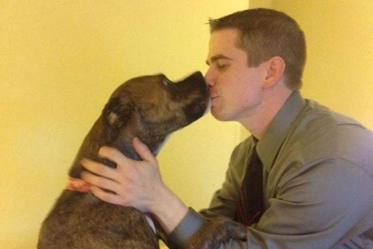 Pregnant Pit Bull Refused To Give Birth, Vet Sees This In Her Ultrasound_25