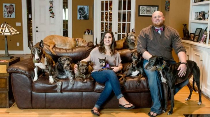 Pregnant Pit Bull Refused To Give Birth, Vet Sees This In Her Ultrasound_4