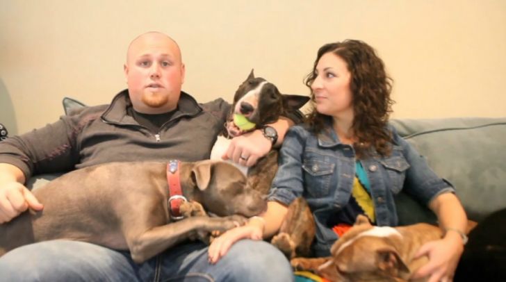 Pregnant Pit Bull Refused To Give Birth, Vet Sees This In Her Ultrasound_7