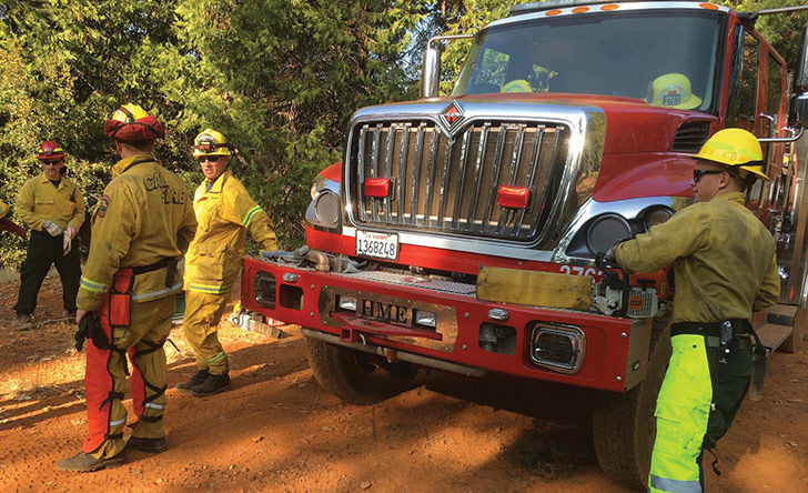 puppies-rescued-by-firefighters-arent-actually-dogs_7