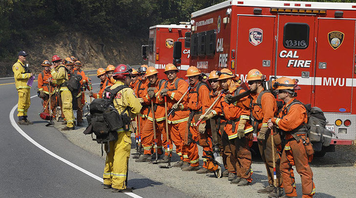 puppies-rescued-by-firefighters-arent-actually-dogs_8