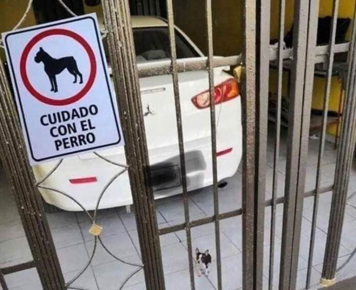 What These 'Beware Of Dog' Signs Actually Refer To Will Make You Laugh_1