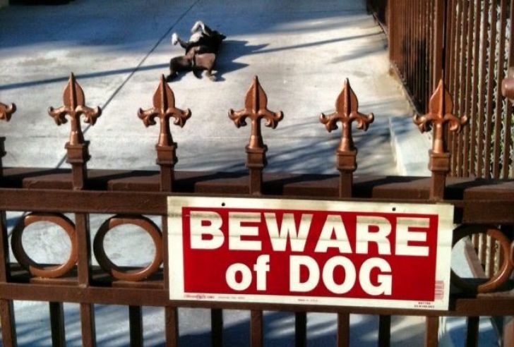 What These 'Beware Of Dog' Signs Actually Refer To Will Make You Laugh_10