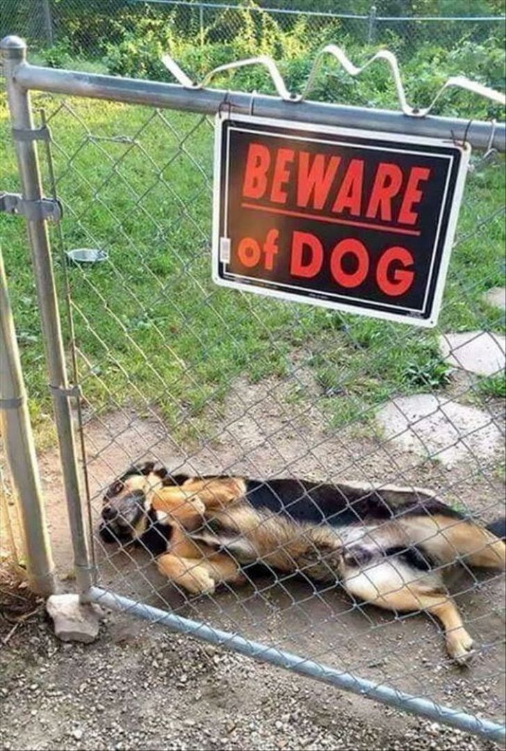 What These 'Beware Of Dog' Signs Actually Refer To Will Make You Laugh_15
