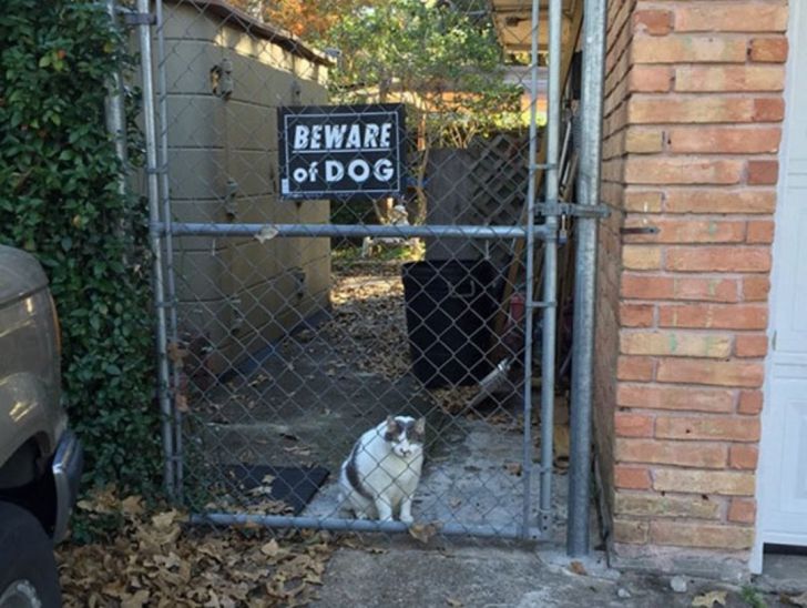 What These 'Beware Of Dog' Signs Actually Refer To Will Make You Laugh_16