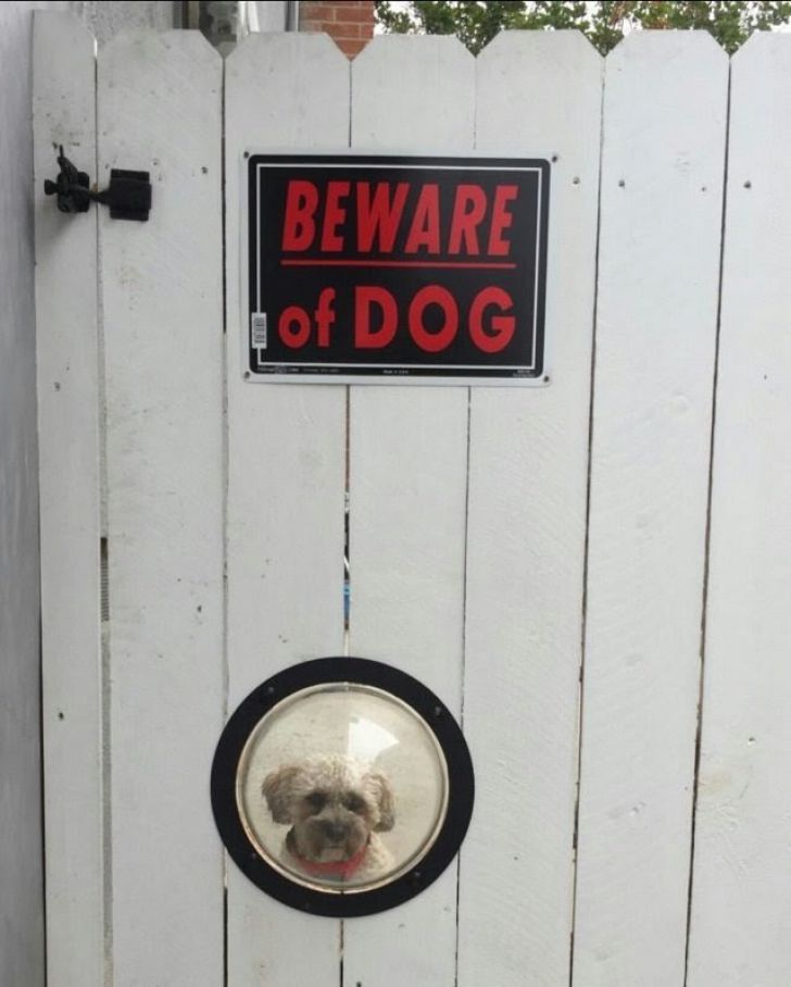 What These 'Beware Of Dog' Signs Actually Refer To Will Make You Laugh_19