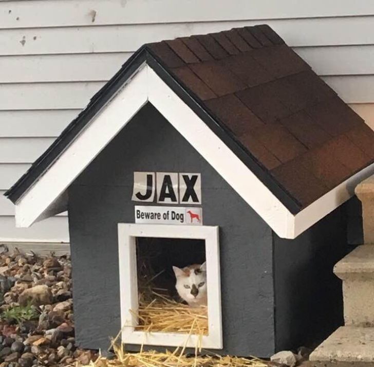 What These 'Beware Of Dog' Signs Actually Refer To Will Make You Laugh_4