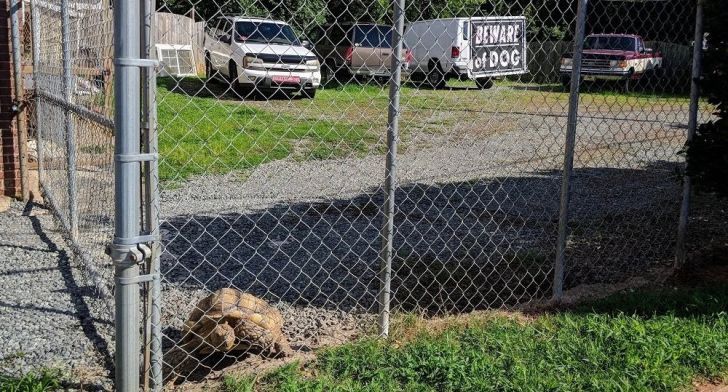 What These 'Beware Of Dog' Signs Actually Refer To Will Make You Laugh_7