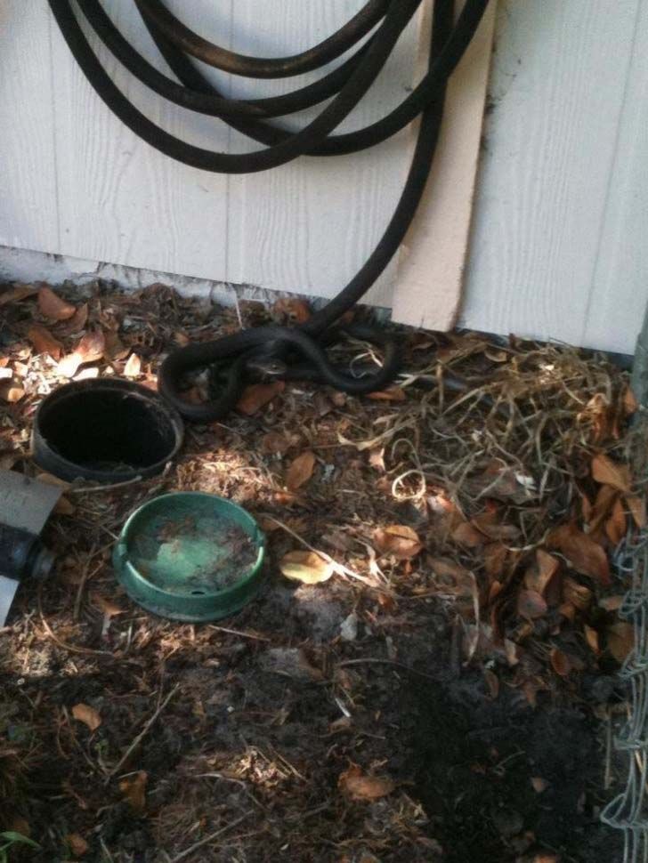 whats-hiding-in-these-15-pics-will-make-you-speechless_15