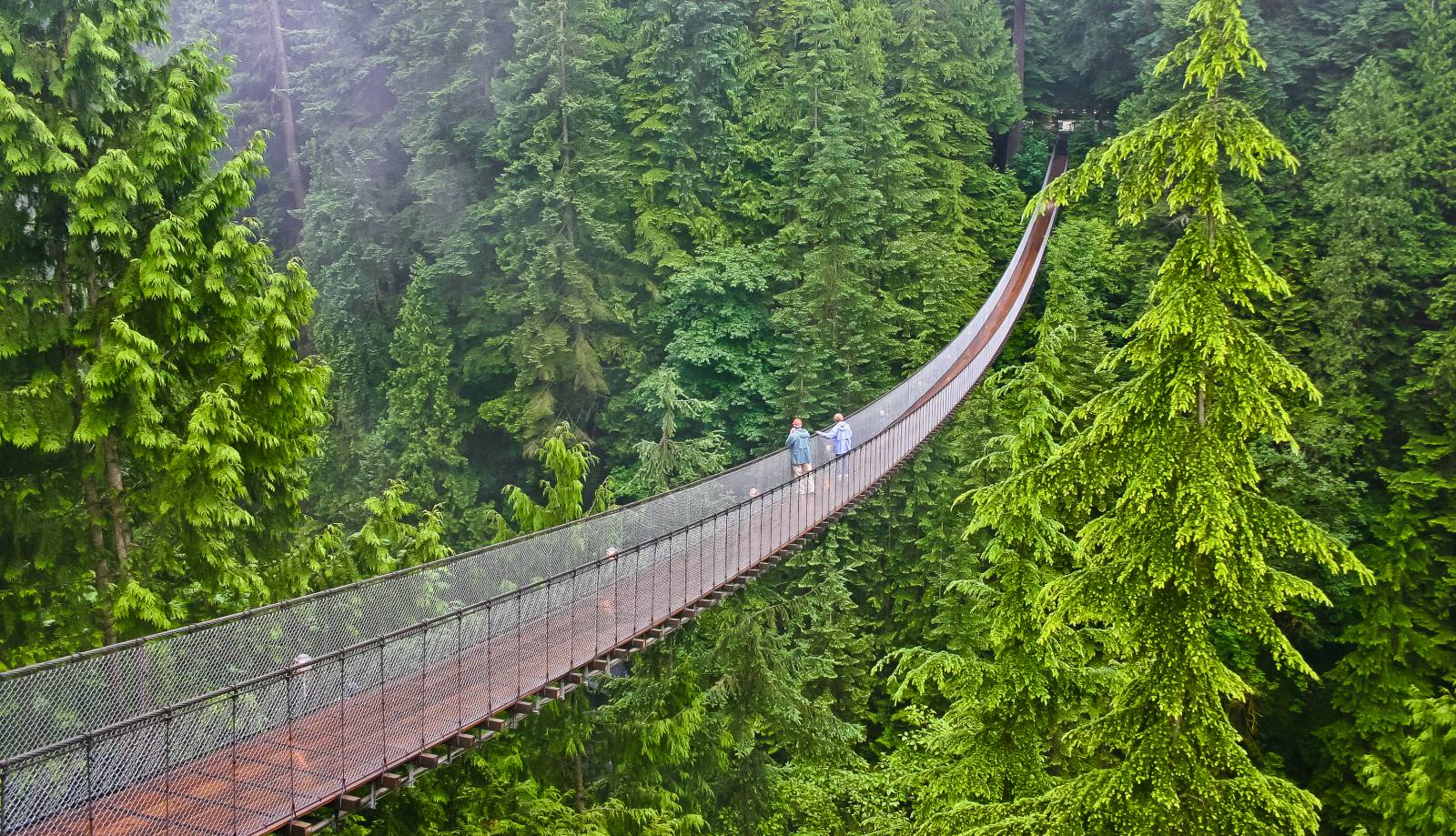 World's 22 Most Dangerous Bridges You Should Avoid Crossing_13