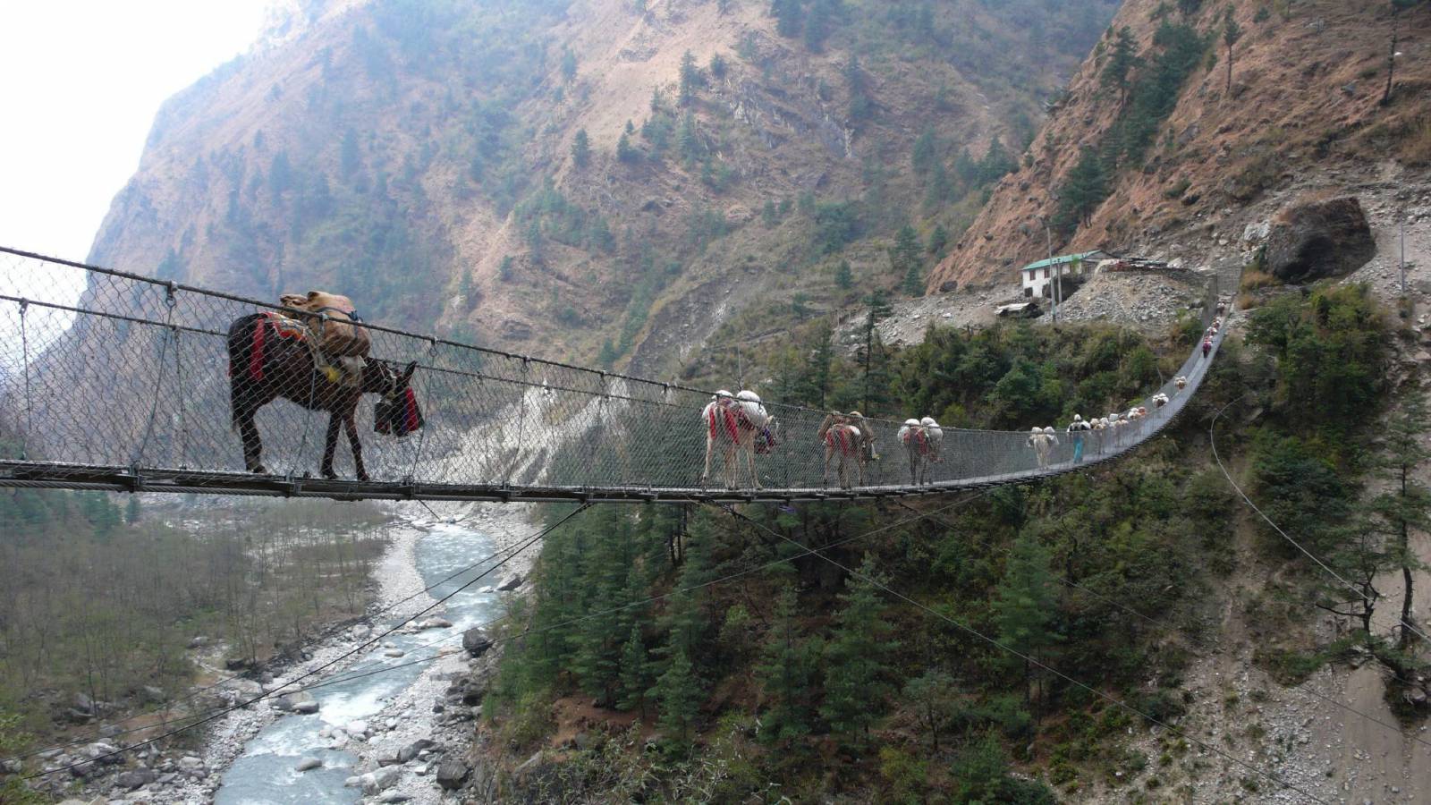 World's 22 Most Dangerous Bridges You Should Avoid Crossing_16