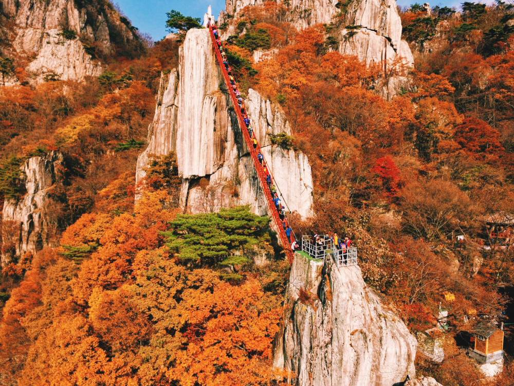 World's 22 Most Dangerous Bridges You Should Avoid Crossing_18