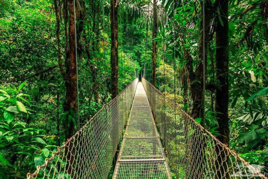 World's 22 Most Dangerous Bridges You Should Avoid Crossing_4